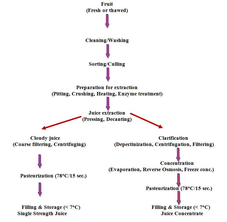 Fig.12.1Generalized flow chart for fruit juice production